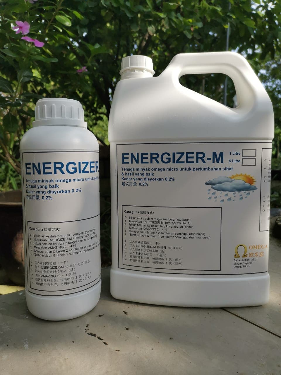 Micro-nutrient Energizer